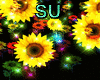 Sunflower Light