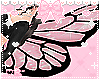 ʚ butterfly wings ɞ