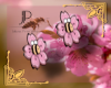 [JP] Blosson Bee Earring