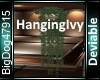 [BD]HangingIvy