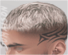 Hardcore Haircut