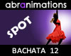 Bachata 12 Dance Spot