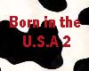 Born in the USA 2
