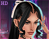 HD. Ariana - Jet