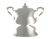 Blank Silver Trophy