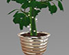 Glam Tall Plant Lighted