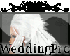 Short wedding Veil