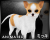 ! Little Puppy Animated