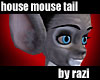 House Mouse Tail