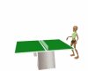EG Ping Pong Table