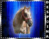 ~D3~2 Horse Enh