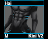 Haj Kini M V2