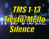 *Tiesto Silence Remix*
