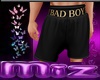 Bad Boy Shorts 1