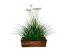 Pine Box Planter