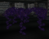 Purple Gazebo Flowers