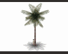 Palmtree V1