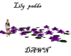 Purple lily padds
