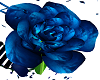 [BLZ]Blue Rose Swing