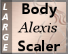 Body Scaler Alexis L