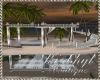 Canarias Island