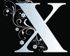 X SEXY SHIRT 3