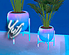 Yufj  Blue/Pink Plants