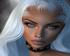 StarBae Denim Bundle v4