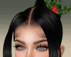 Holly Black