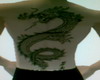 Dragon back tatoo