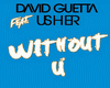 Wituout You-David Guetta
