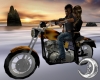 Sunset Harley Ride