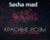 sasha-mad-krasnye-rozy