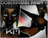+KM+ Dobermann Paws F