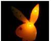 Animated Playboy Bunny