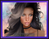 Dynasty Heather