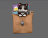 Cat in Shopping Bag ♡