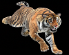 tiger cutout