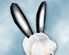 Bunny Ears - Tuxedo