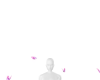 Pink Glow Butterflies