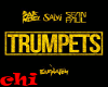 SAK NOEL &SALVI TRUMPETS