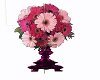 [RQ]Pink Gerbras In Vase
