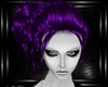purple shea hairs