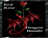 Dragon Rose BUNDLE