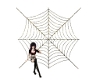 Blck Gold Rnd Spider Web