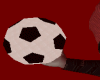 |Anu|Soccer Ball*F