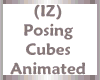 (IZ) Posing Cubes Ani