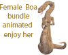 Female Boa Avatar bund