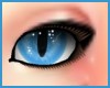 Blue Cat Eyes