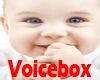vb) Cute Baby Boy Voice
